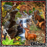 Welttierschutztag am 4.10.2021