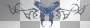 Blue Butterfly