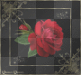 A rose 