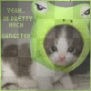 kitty