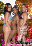 nuestra seccion de fotos lol.