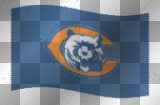 bears