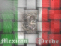 Mexican pride