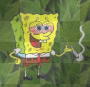 Sponge Bob Square Pants