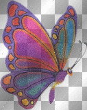 colorful butterfly glitter