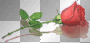 bty