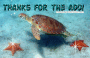 Waterturtle
