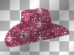 Cowboy Hat