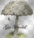 MONEY GROWS ON TREES