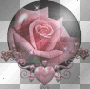 Rose Globe