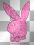 ;lp]]