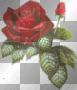 red glitter rose 