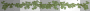 starking leaves