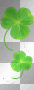 Floating Clovers