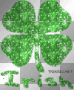 irish