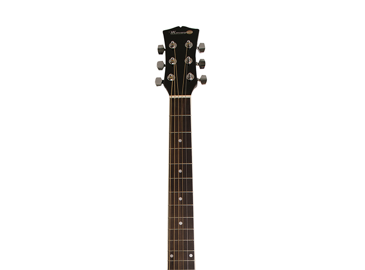 Ripley - GUITARRA ELECTROACUSTICA METAL