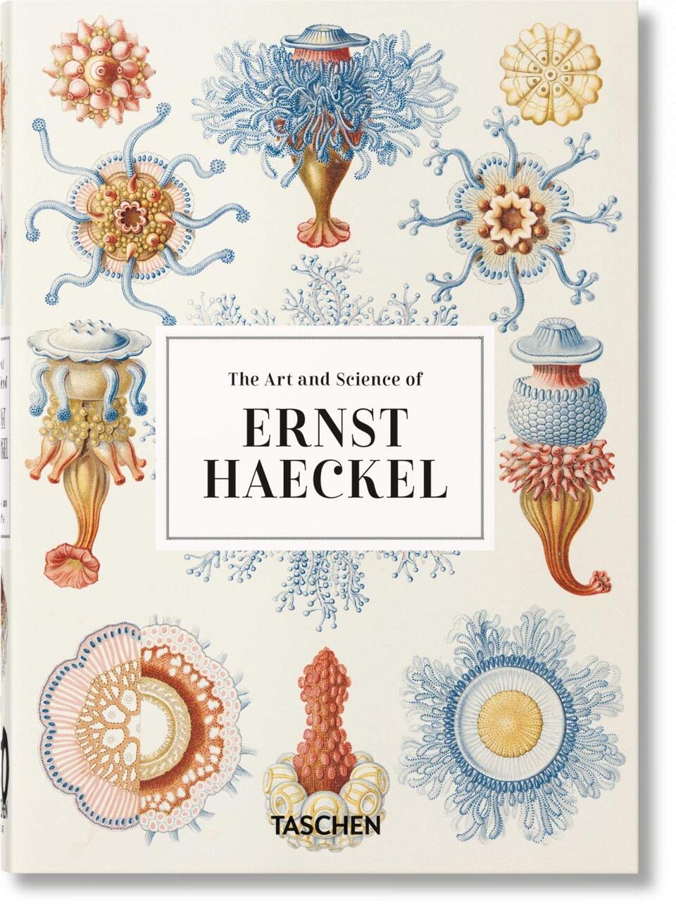 40 - ERNST HAECKEL - 1