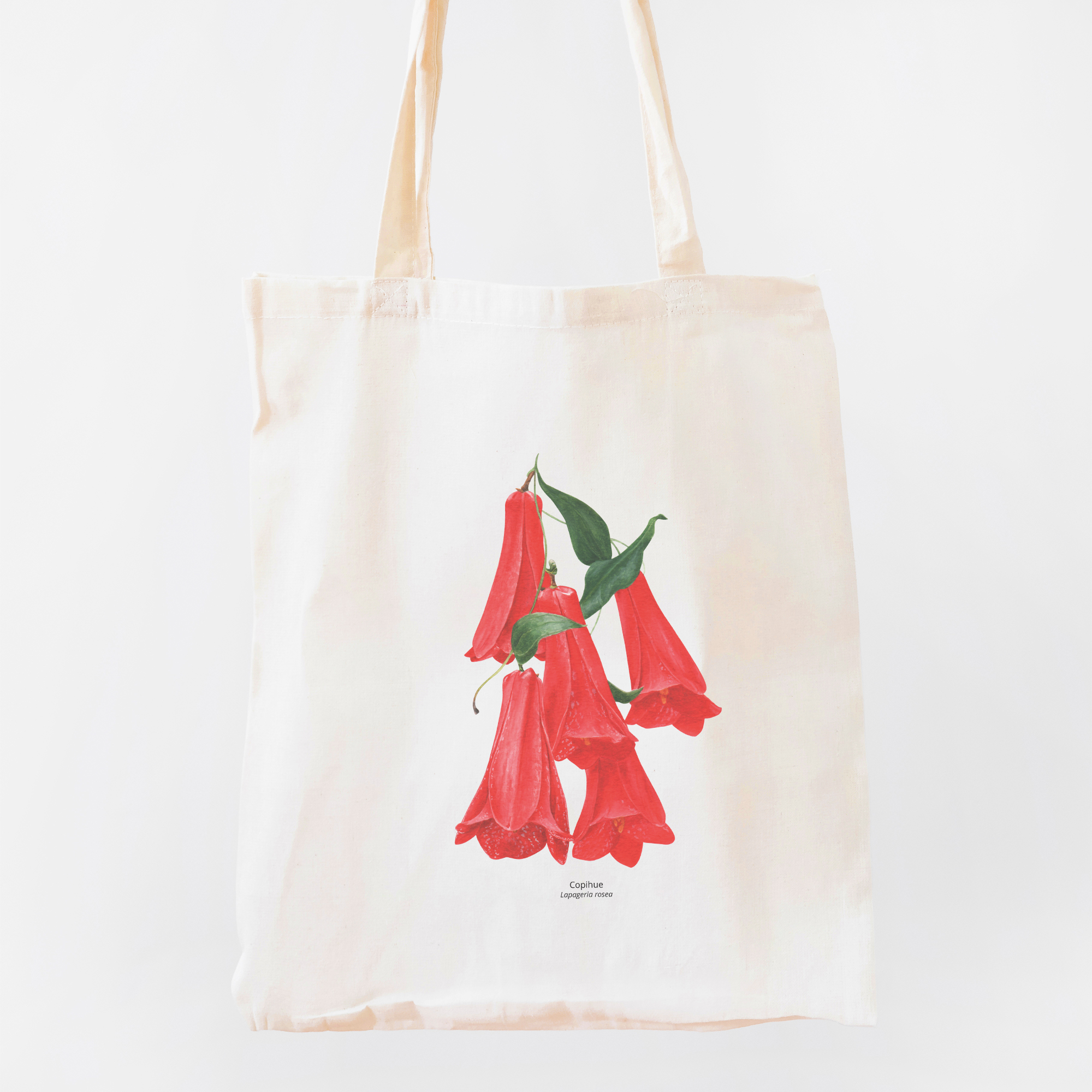 Bolsos y maletines | Ripley.com