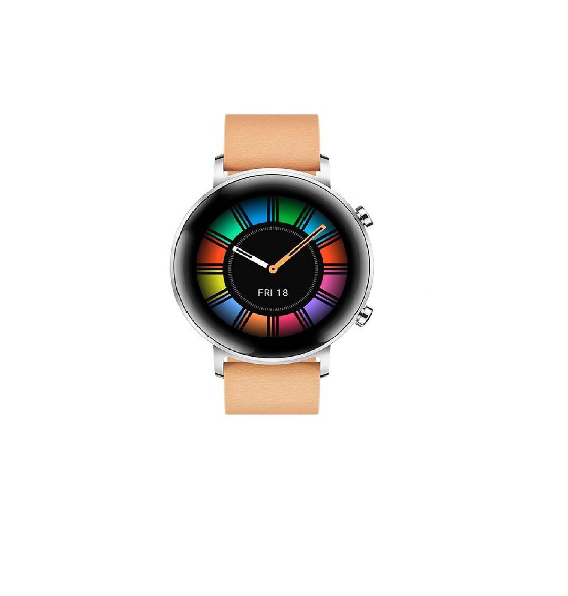 Ripley - HUAWEI WATCH GT 2 AMOLED HECTOR B19C