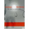 Product Image: Newsboys - Shine The Hits Live: One Night In Pennsylvania