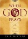 How to Study the Bible and Enjoy It Paperback by Skip Heitzig