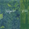Steve Hindalong - Skinny