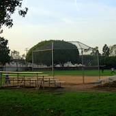 Softball Fields at Blanco Park