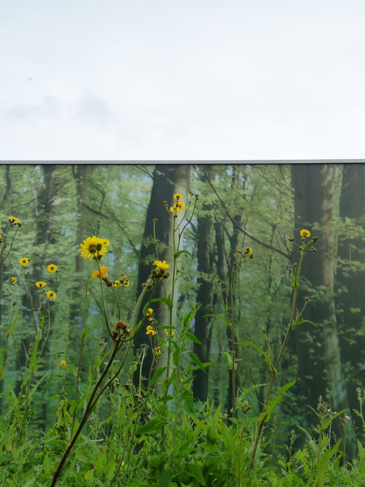 Les Grands Moulins-Sport Complex / Ligne 7 Architecture  - Forest