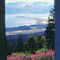 Alaska Vacation, all inclusive,