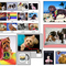 Photographic Services