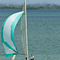 Sailing Charter and Instruction