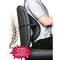Mesh Back Lumbar Support