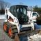Tree Service Removal Cutting