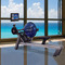 E520 NetRacer Rowing Machine