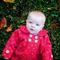 newborn, child and family portrait photography