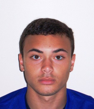 David1_profile