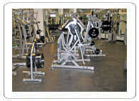 Fitness & Health Program