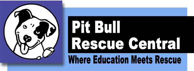 pitbull rescue central