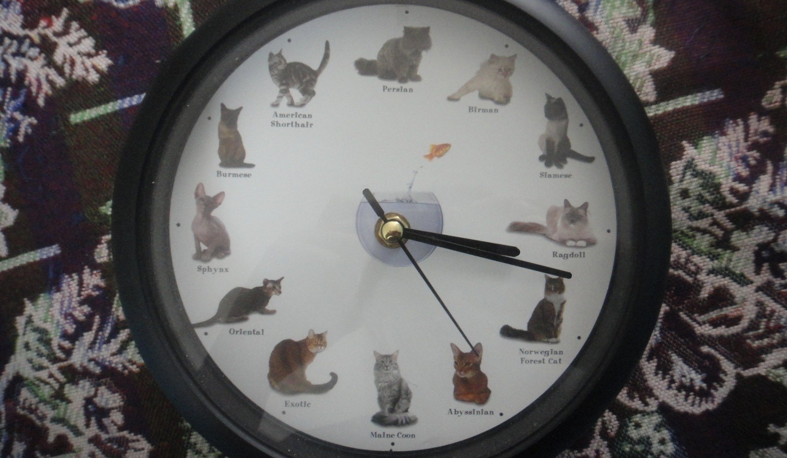 Meowing Cat Clock! · How To Make A Clock · Computer Art and Cardmaking