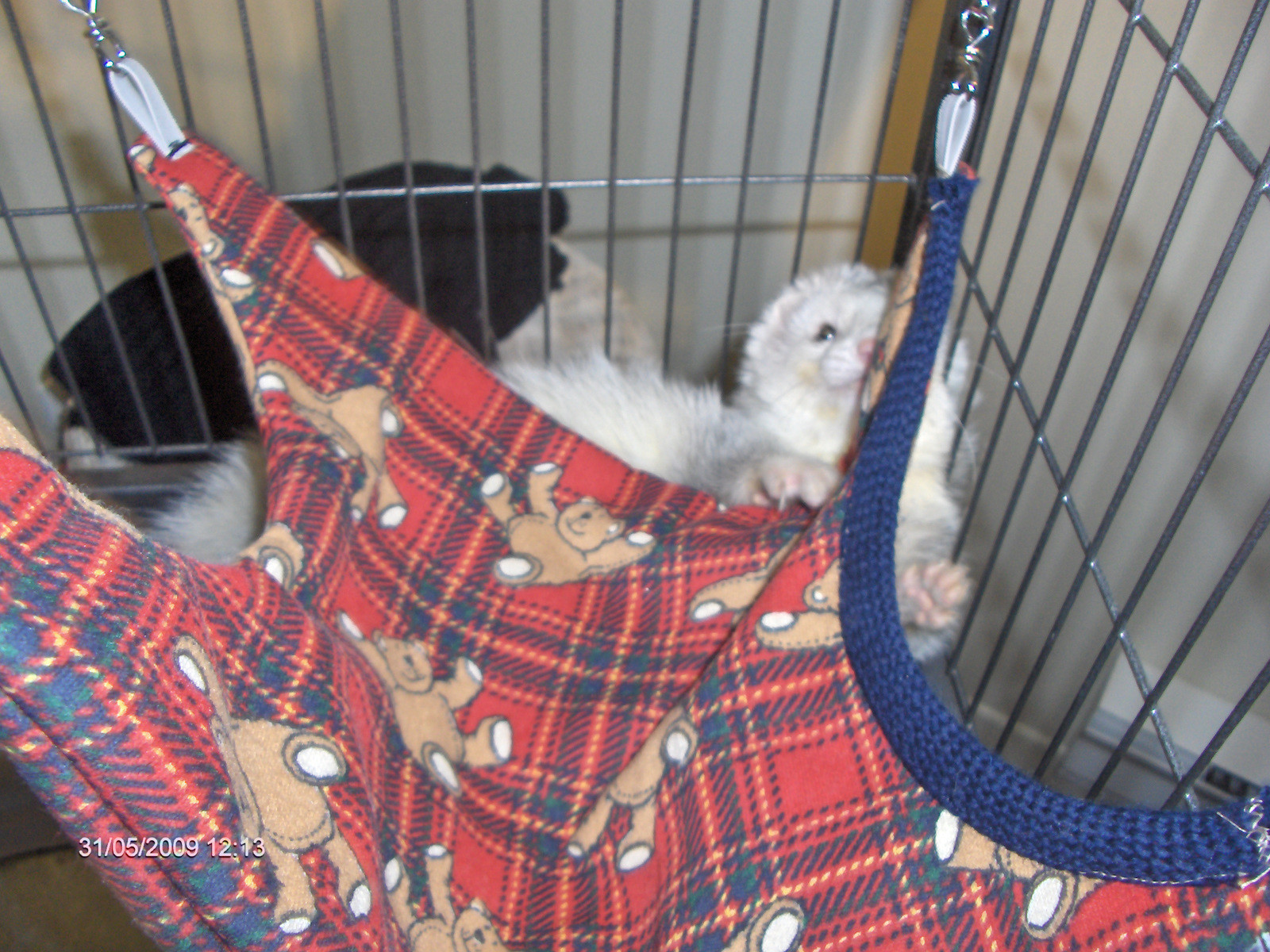 Ferret's Bed · A Pet Bed · Version by Johanie J.