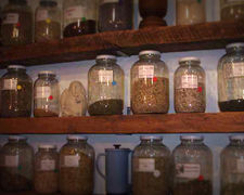 Herbalist