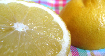 The Naturally Clean Home
