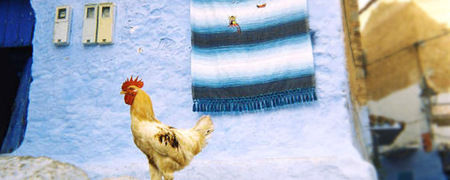 Creative Morocco