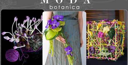 MODA Botanica