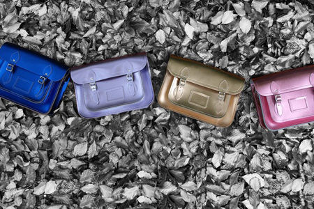 Cambridge Satchel Company
