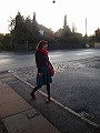 Svanhvit 