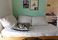 Couch picture