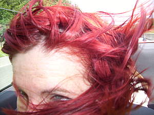Barbara Kastner