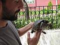 Rohat Taysun