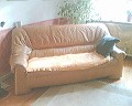 Couch picture